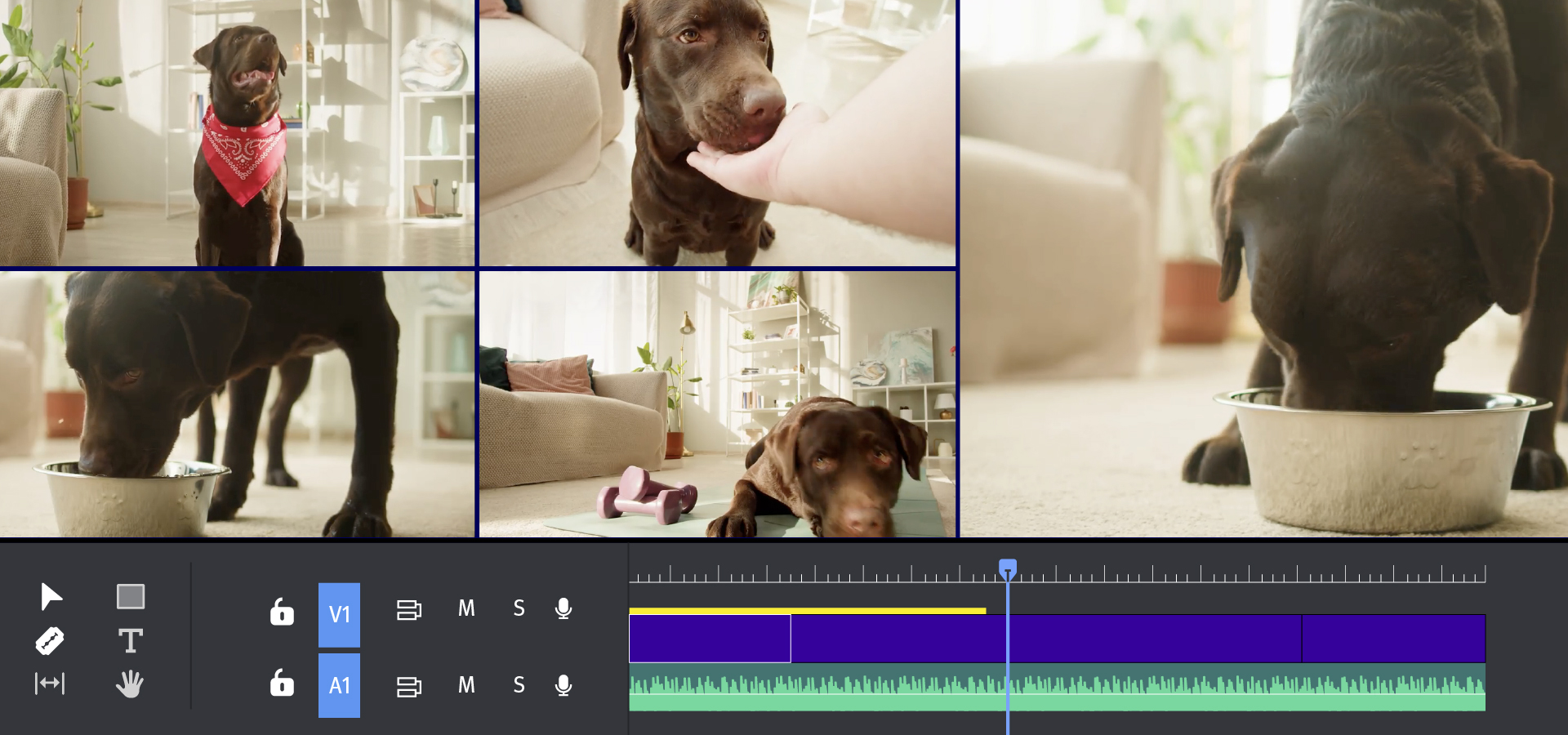 Training Next-level Adobe Premiere